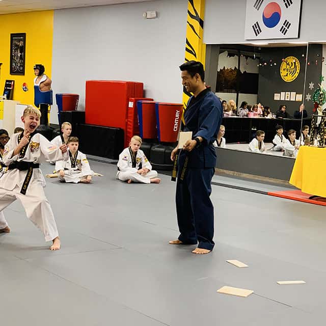 Tiger Kicks Taekwondo Studio in Extonproject