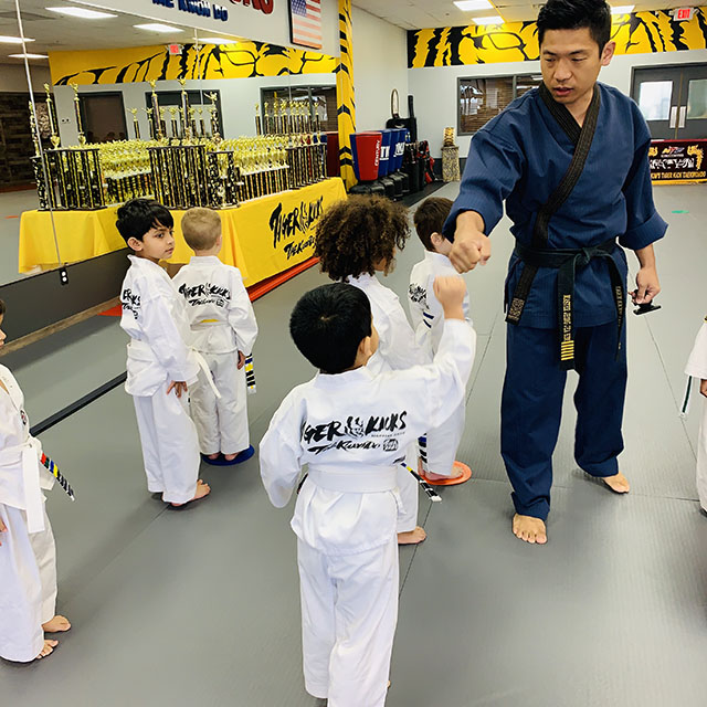 Tiger Kicks Taekwondo Studio in Extonproject