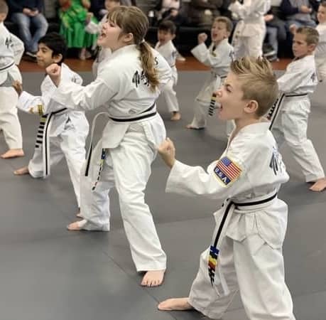 Tiger Kicks Taekwondo Studio in Exton