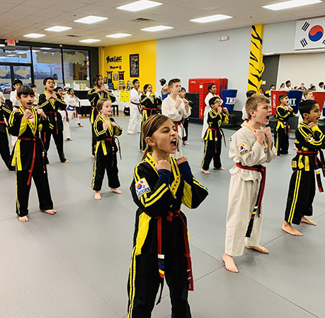 Tiger Kicks Taekwondo Studio in Exton